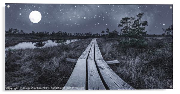 Black and white photo of wooden trail across swamp Acrylic by Maria Vonotna