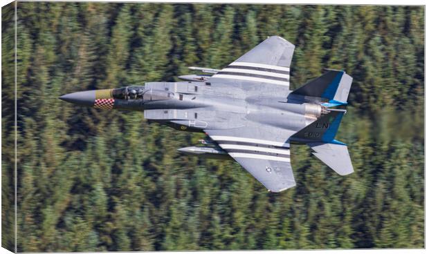F15C- The Grim Reapers Canvas Print by Rory Trappe