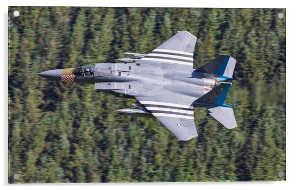 F15C- The Grim Reapers Acrylic by Rory Trappe