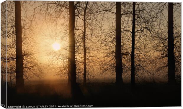 TREES SILHOUETTED ON A MISTY SPRING MORNING SUNRISE Canvas Print by SIMON STAPLEY