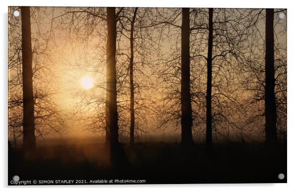 TREES SILHOUETTED ON A MISTY SPRING MORNING SUNRISE Acrylic by SIMON STAPLEY