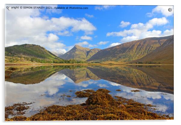 LOCH ETIVE IN AUTUMN Acrylic by SIMON STAPLEY