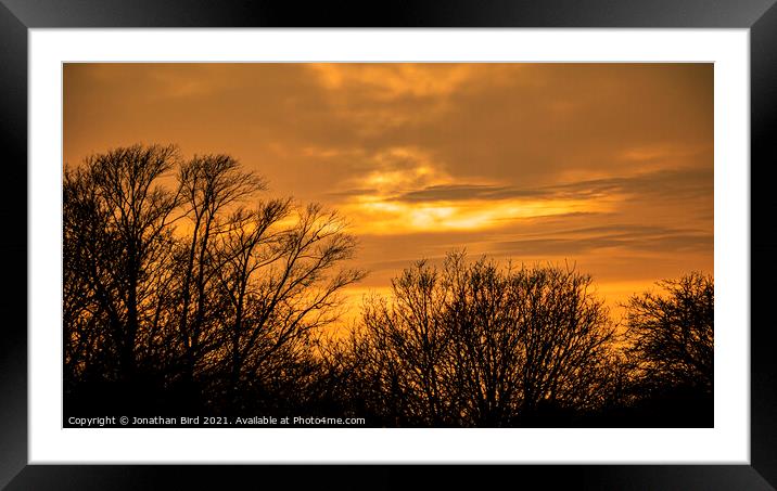 Winters Low Sun, Hutton Country Park Framed Mounted Print by Jonathan Bird