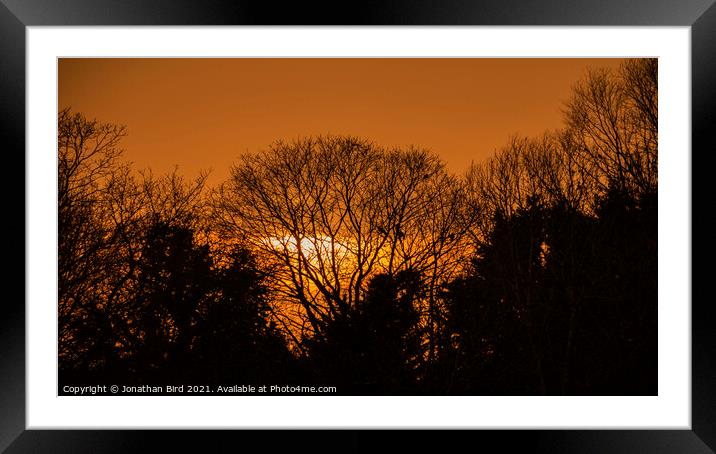 Setting Through the Trees, Hutton Country Park. Framed Mounted Print by Jonathan Bird