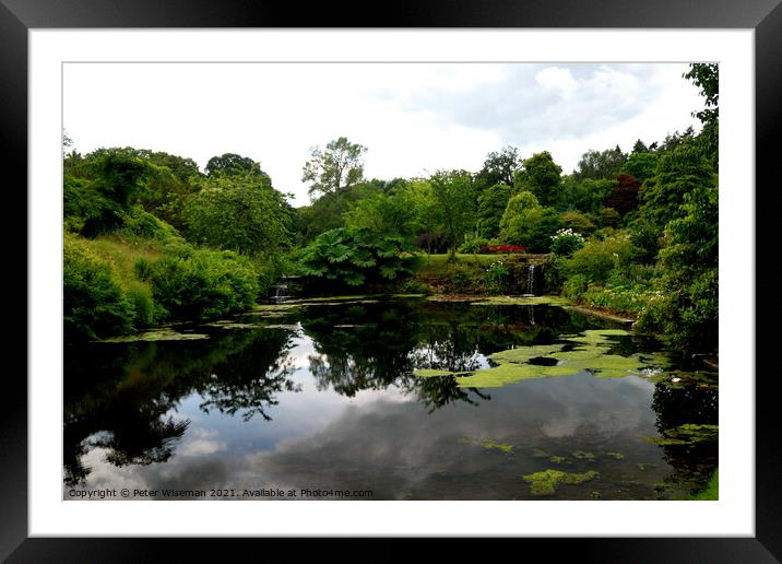 Pool in the gardens at Hodnet Hall, Hodnet, Shrops Framed Mounted Print by Peter Wiseman