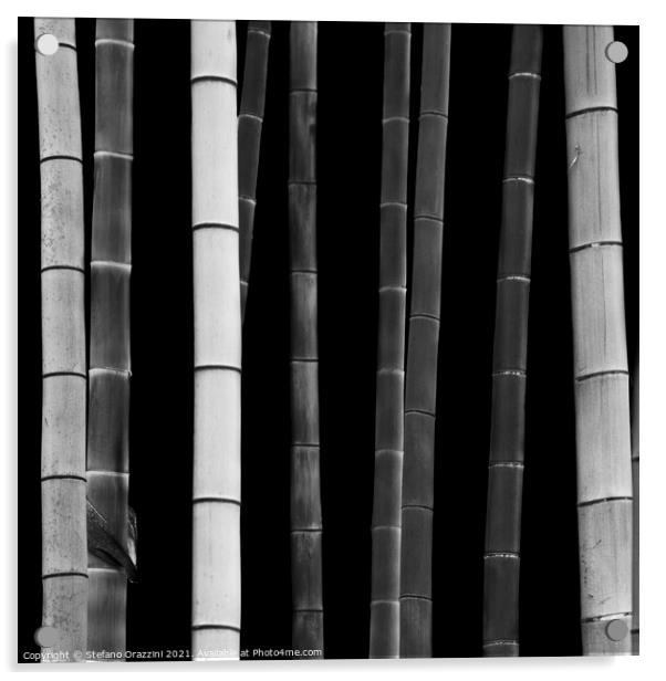 Bamboo, Study I (2010) Acrylic by Stefano Orazzini
