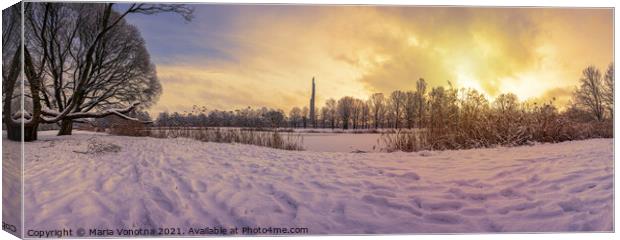 Sunset over  covered in snow park in winter Canvas Print by Maria Vonotna