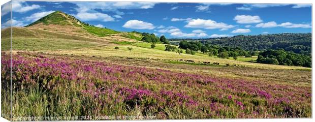 North York Moors Panorama Landscape Canvas Print by Martyn Arnold