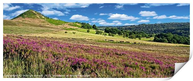 North York Moors Panorama Landscape Print by Martyn Arnold