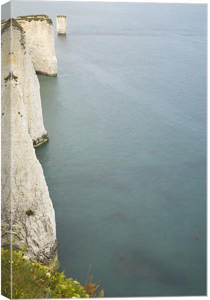On the edge Canvas Print by Ian Middleton