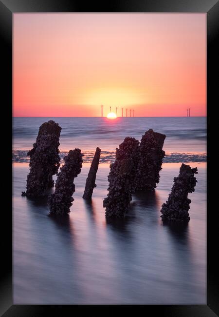 Sunset Pillars Framed Print by Liam Neon