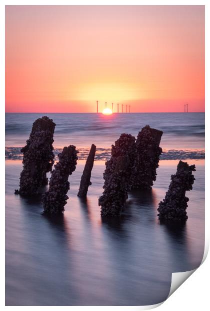 Sunset Pillars Print by Liam Neon