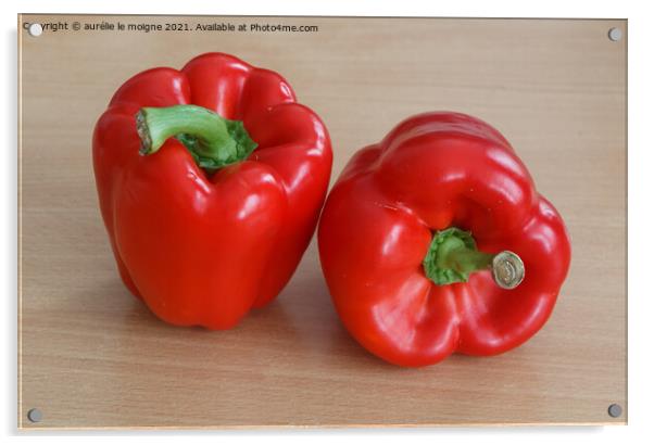Two red peppers Acrylic by aurélie le moigne