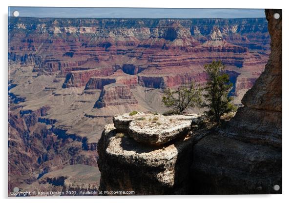  Giant Stepping Stones across Grand Canyon Acrylic by Kasia Design
