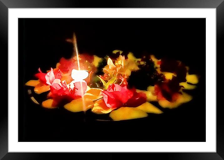 Illuminated Flowers Framed Mounted Print by Mark Sellers