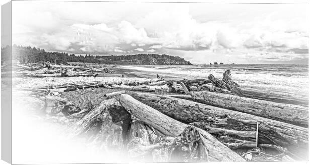 Amazing La Push Beach in the Quileute Indian reservation Canvas Print by Erik Lattwein