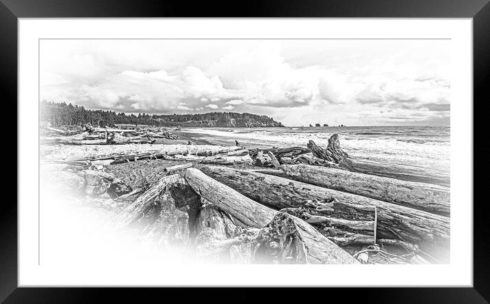 Amazing La Push Beach in the Quileute Indian reservation Framed Mounted Print by Erik Lattwein