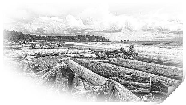 Amazing La Push Beach in the Quileute Indian reservation Print by Erik Lattwein