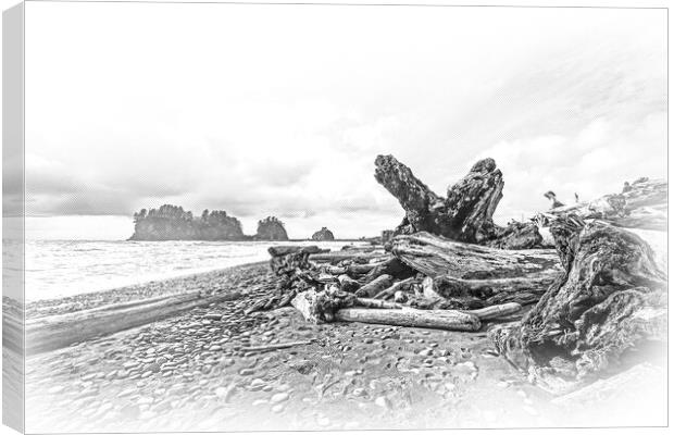 Amazing La Push Beach in the Quileute Indian reservation Canvas Print by Erik Lattwein
