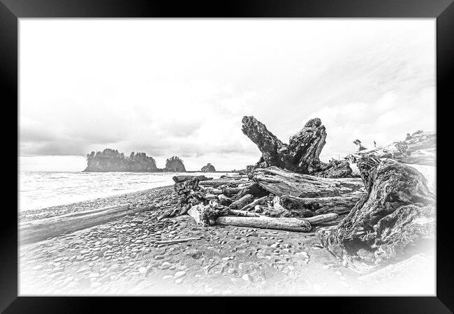 Amazing La Push Beach in the Quileute Indian reservation Framed Print by Erik Lattwein