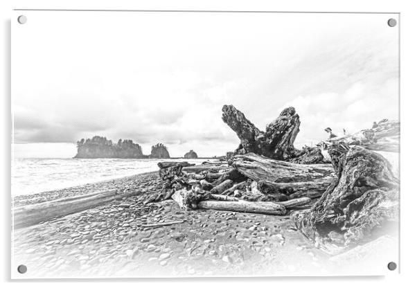 Amazing La Push Beach in the Quileute Indian reservation Acrylic by Erik Lattwein