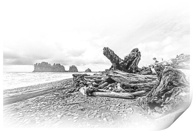 Amazing La Push Beach in the Quileute Indian reservation Print by Erik Lattwein