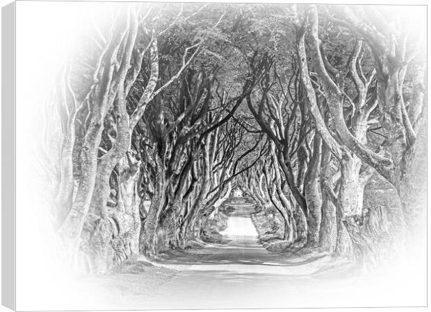 The Dark Hedges of Stranocum in Northern Ireland Canvas Print by Erik Lattwein