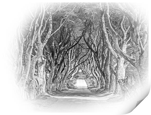 The Dark Hedges of Stranocum in Northern Ireland Print by Erik Lattwein