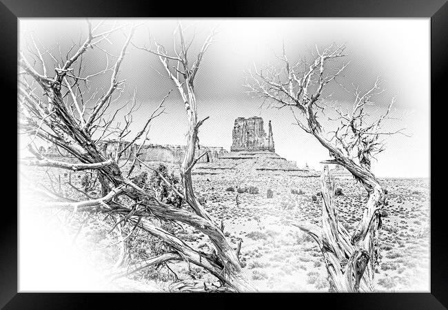 Dry rotten trees at Monument Valley in Utah Framed Print by Erik Lattwein
