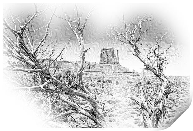 Dry rotten trees at Monument Valley in Utah Print by Erik Lattwein