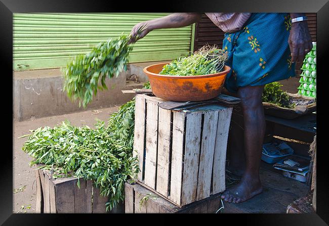 leaf seller Framed Print by Hassan Najmy