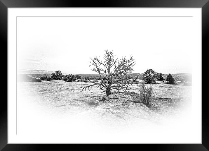 Amazing landscape and vegetation in the desert of Utah Framed Mounted Print by Erik Lattwein