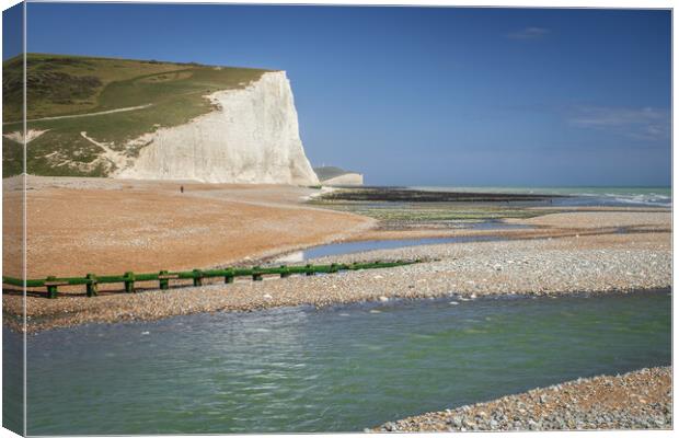 The other chalk cliffs. Canvas Print by Bill Allsopp