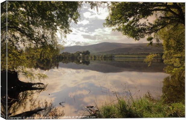 Loch Alvie Canvas Print by Antony Robinson