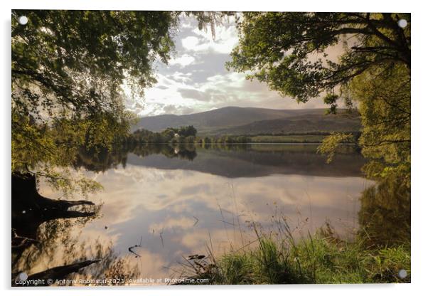 Loch Alvie Acrylic by Antony Robinson