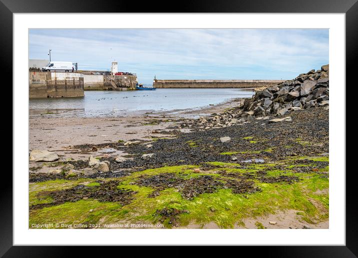  Seahouses Harbour at Low Tide, Northumberland, England  Framed Mounted Print by Dave Collins