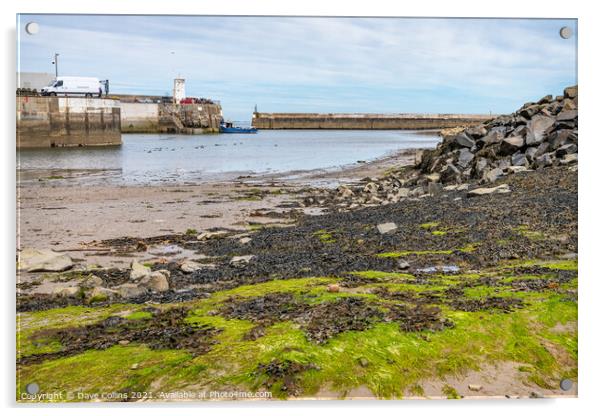  Seahouses Harbour at Low Tide, Northumberland, England  Acrylic by Dave Collins