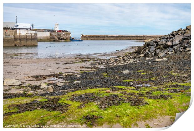  Seahouses Harbour at Low Tide, Northumberland, England  Print by Dave Collins
