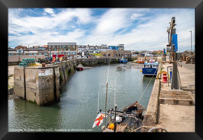 Boats Docked in Seahouses Harbour, Northumberland Framed Print by Dave Collins
