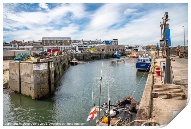 Boats Docked in Seahouses Harbour, Northumberland Print by Dave Collins