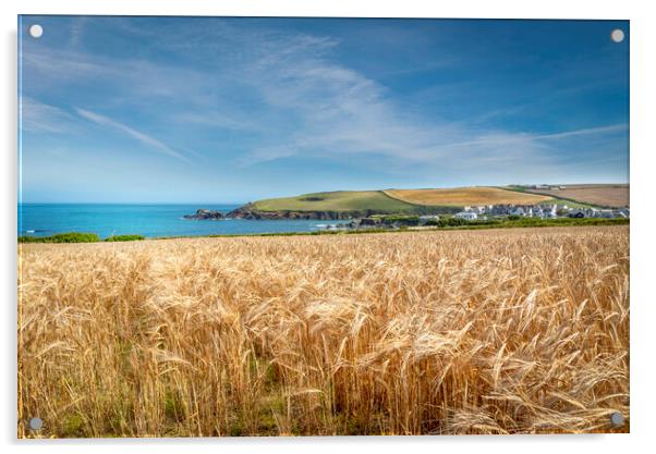 A field of golden wheat in Cornwall Acrylic by Eddie John