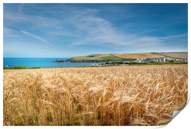 A field of golden wheat in Cornwall Print by Eddie John