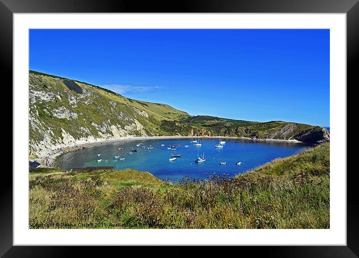 Lulworth Cove Framed Mounted Print by Donna Collett