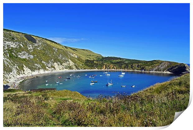 Lulworth Cove Print by Donna Collett