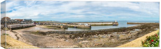 Seahouses Harbour at Low Tide, Northumberland, England  Canvas Print by Dave Collins