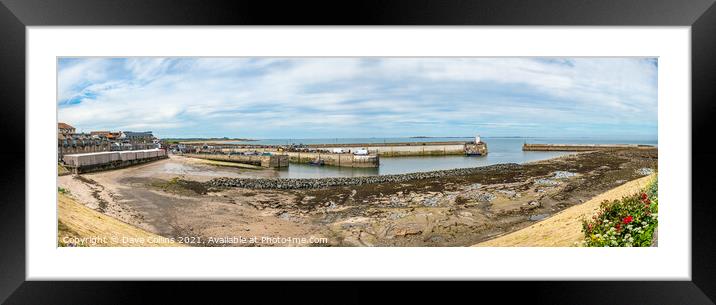 Seahouses Harbour at Low Tide, Northumberland, England  Framed Mounted Print by Dave Collins