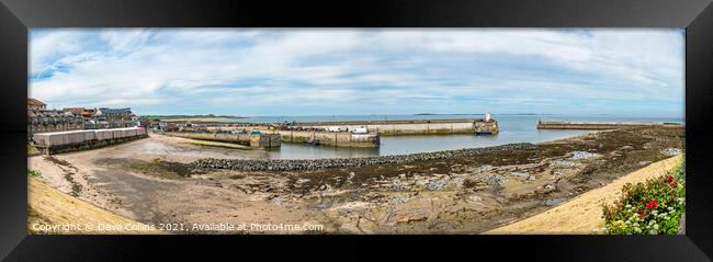 Seahouses Harbour at Low Tide, Northumberland, England  Framed Print by Dave Collins