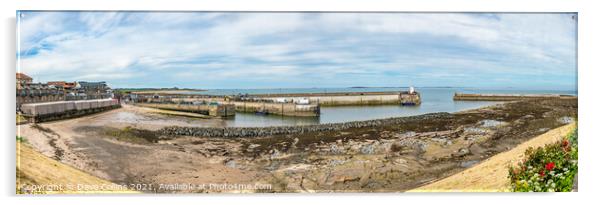 Seahouses Harbour at Low Tide, Northumberland, England  Acrylic by Dave Collins