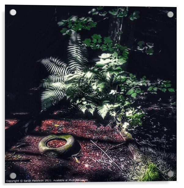 Light through the trees Acrylic by Sarah Paddison