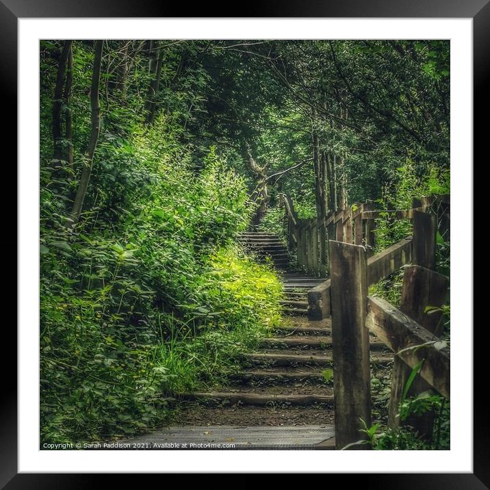 Path in the woods Framed Mounted Print by Sarah Paddison